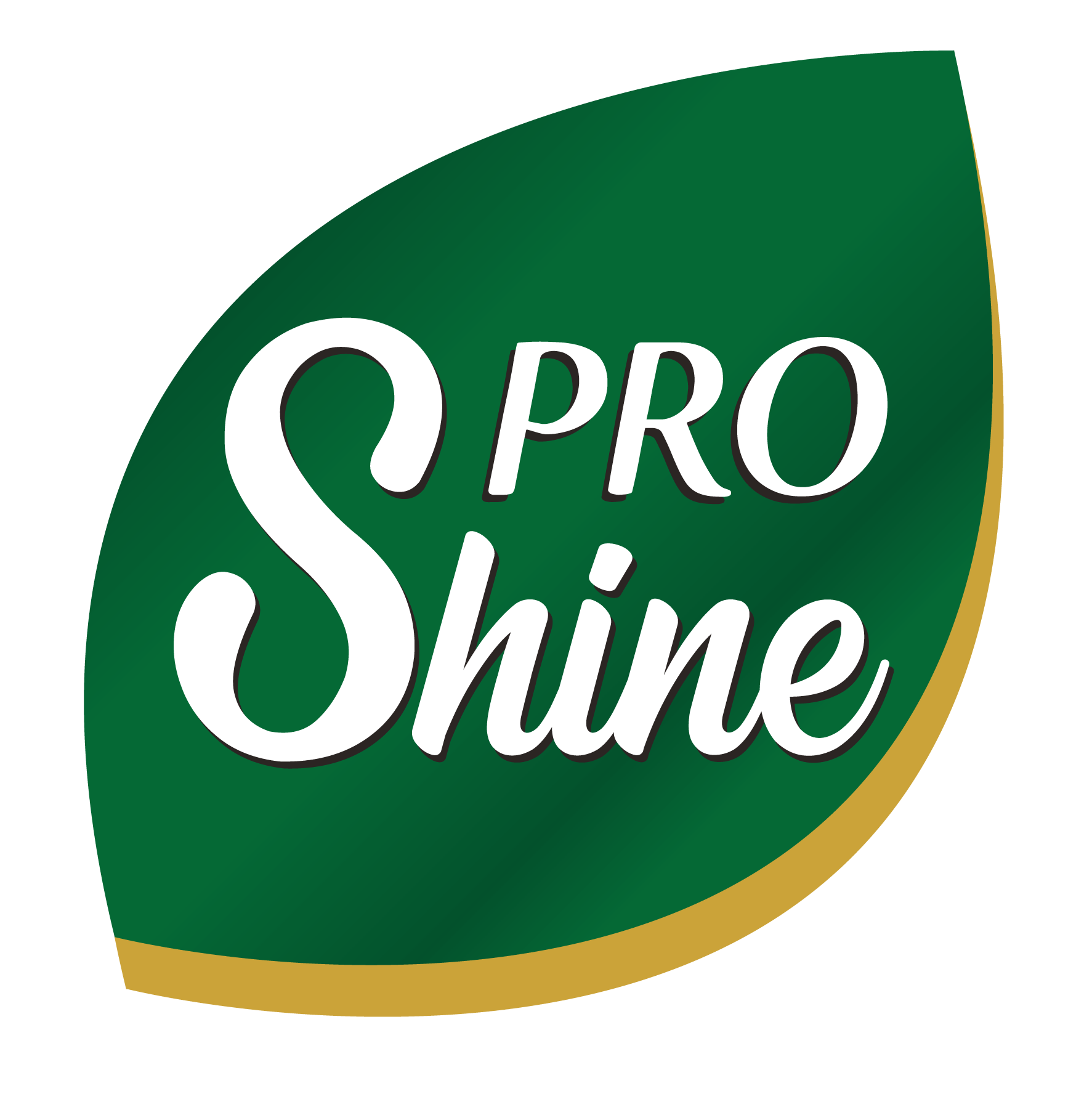 Pro Shine